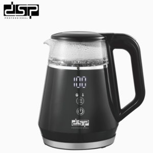 DSP electric kettle